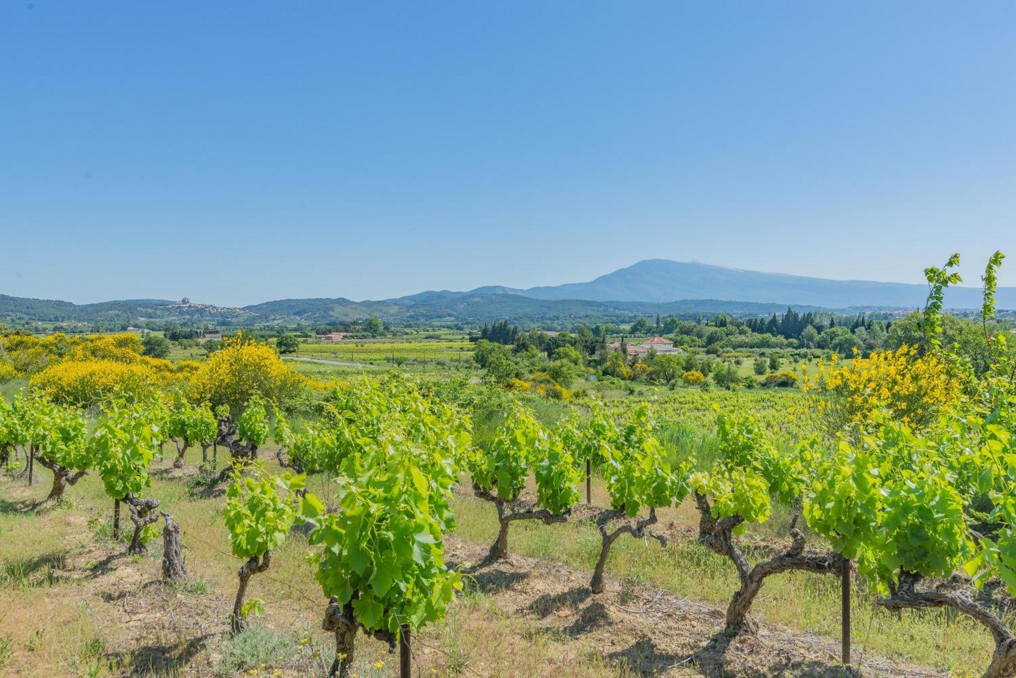 فيلا Domaine Purviti بوم دي فينس المظهر الخارجي الصورة